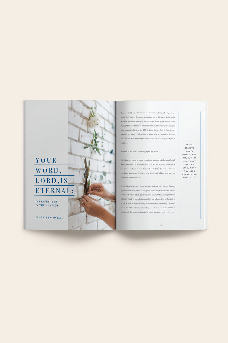Rooted in the Word: A Tool for Studying the Bible